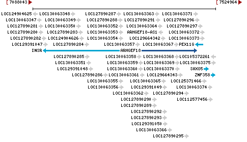 Genomic Context describing neighboring genes