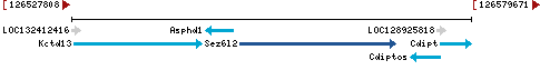 Genomic Context describing neighboring genes