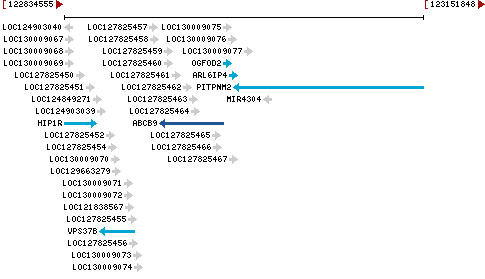 Genomic Context describing neighboring genes