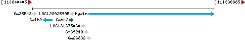 Genomic Context describing neighboring genes