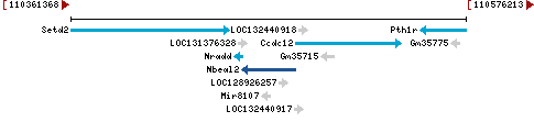 Genomic Context describing neighboring genes