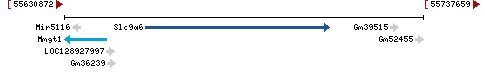 Genomic Context describing neighboring genes