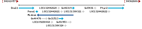 Genomic Context describing neighboring genes