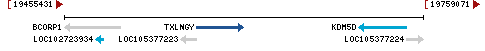 Genomic Context describing neighboring genes