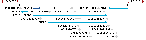 Genomic Context describing neighboring genes