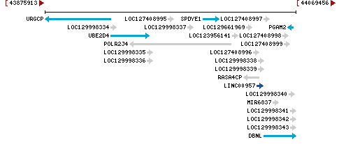 Genomic Context describing neighboring genes