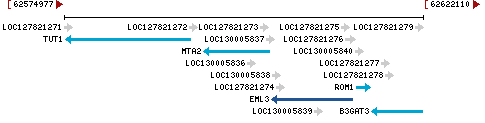 Genomic Context describing neighboring genes