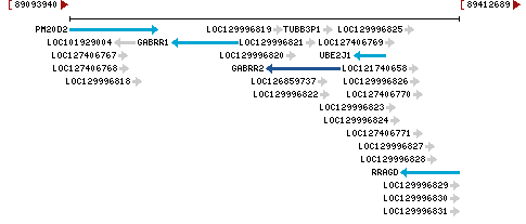 Genomic Context describing neighboring genes