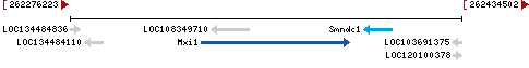 Genomic Context describing neighboring genes