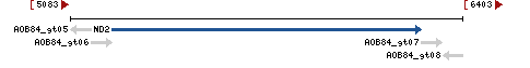 Genomic Context describing neighboring genes