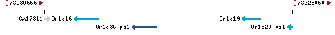 Genomic Context describing neighboring genes