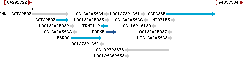 Genomic Context describing neighboring genes