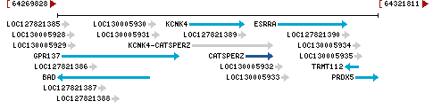 Genomic Context describing neighboring genes