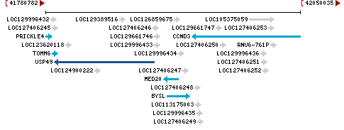 Genomic Context describing neighboring genes