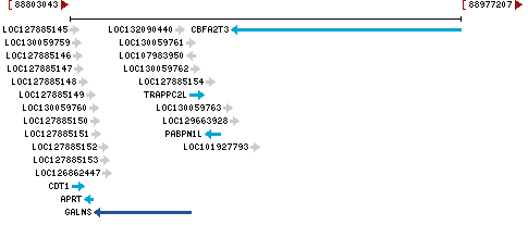 Genomic Context describing neighboring genes