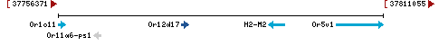 Genomic Context describing neighboring genes