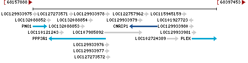 Genomic Context describing neighboring genes