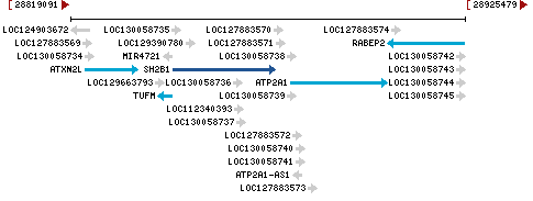 Genomic Context describing neighboring genes