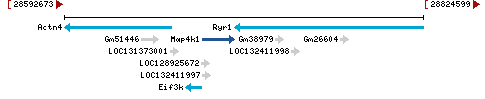 Genomic Context describing neighboring genes