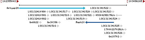 Genomic Context describing neighboring genes