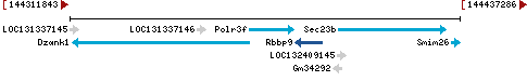 Genomic Context describing neighboring genes