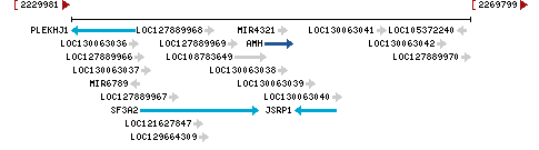 Genomic Context describing neighboring genes