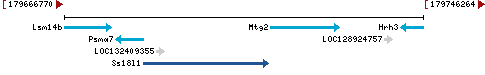 Genomic Context describing neighboring genes