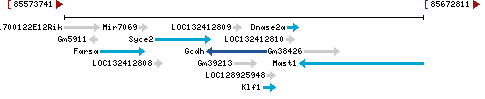 Genomic Context describing neighboring genes