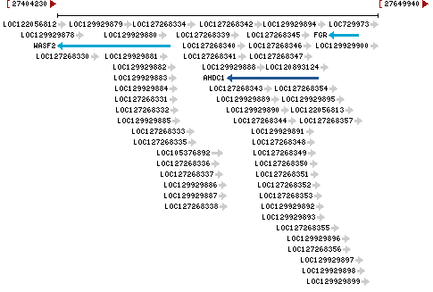 Genomic Context describing neighboring genes