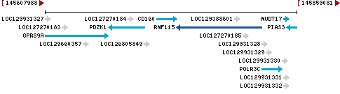 Genomic Context describing neighboring genes