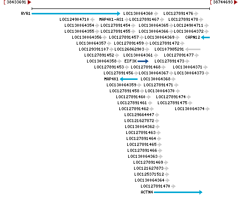 Genomic Context describing neighboring genes