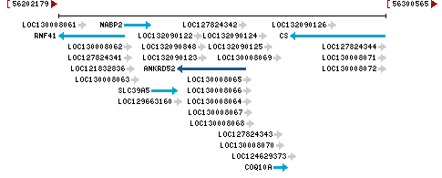 Genomic Context describing neighboring genes