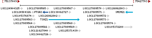 Genomic Context describing neighboring genes