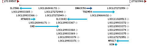 Genomic Context describing neighboring genes