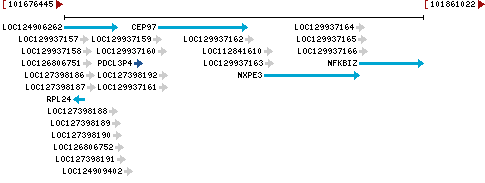 Genomic Context describing neighboring genes