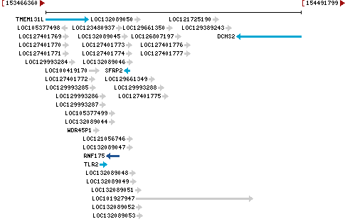 Genomic Context describing neighboring genes