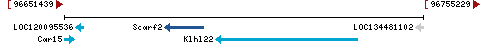 Genomic Context describing neighboring genes