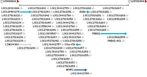 Genomic Context describing neighboring genes