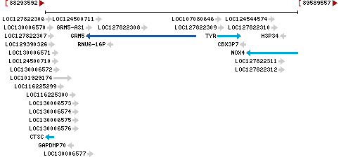 Genomic Context describing neighboring genes