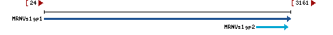 Genomic Context describing neighboring genes