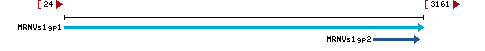 Genomic Context describing neighboring genes