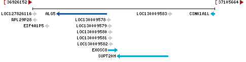 Genomic Context describing neighboring genes