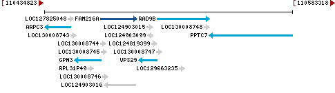 Genomic Context describing neighboring genes