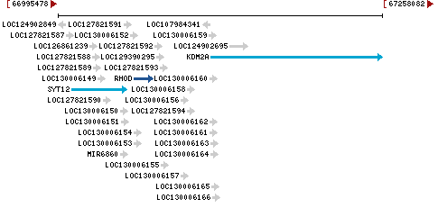 Genomic Context describing neighboring genes