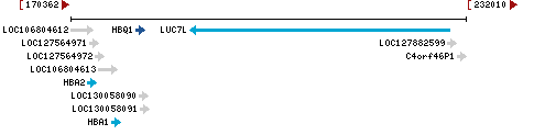 Genomic Context describing neighboring genes