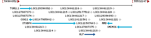 Genomic Context describing neighboring genes