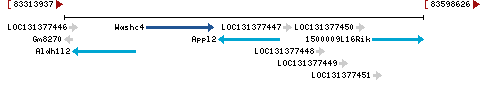 Genomic Context describing neighboring genes