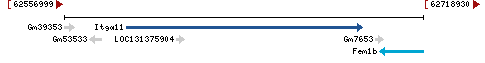 Genomic Context describing neighboring genes