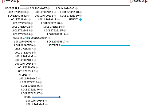 Genomic Context describing neighboring genes