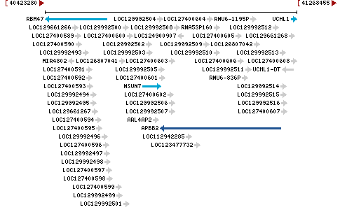 Genomic Context describing neighboring genes